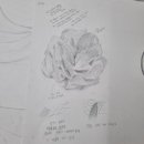 디자인필&시선