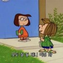 반비크 이미지