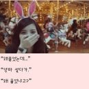 요기오면돼지