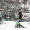 타이어캠프 이미지