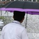 [오늘 날씨] 태풍 '말라카스' 영향으로 전국 흐리고 대체로 비 이미지