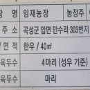 재순농장 이미지