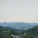 자연속산약초