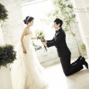 수원-0110 Daum카페
