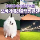 월미공원 운동장매점 화장실 | 또바기 애견 글램핑 펜션ㅣE동 가평 개별바베큐 운동장 넓은 펜션 내돈내산