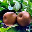 공공용 38 이미지