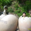 벌교사료 이미지