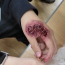 전주새연초등학교 이미지