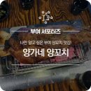 양가네양꼬치