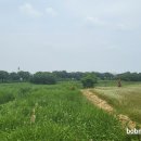 더그라스 이미지