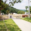 양주시 미술관 옆 캠핑장 이미지