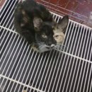 귀족동물병원 이미지