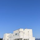 스테이가인 이미지