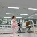 다미필라테스 - 안산시 상록구 화랑로 501 | 당진 기지시 돌핀 필라테스 강사 다미입니다.
