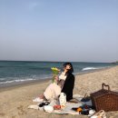 파스텔상점피크닉