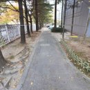 금동부동산중개사무소 이미지