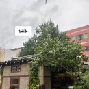 오가닉모가 이미지