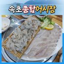 속초물종합 | 영통역 대형횟집 추천 _ 도심속 바다 속초종합어시장 후기 (우럭+도다리세꼬시, 새우튀김, 산낙지)
