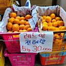 오늘청과2 이미지