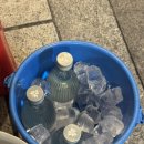 진삼 | 대구 중구 삼덕동 : ) 10번 넘게 방문한 찐 단골 후기 *진삼덕어시장* 내돈내산