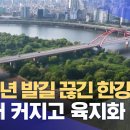 20여 년 발길 끊긴 한강 밤섬, 6.4배 커지고 육지화 진행 이미지