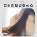 본드헤어(BOND HAIR)