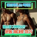 주식회사 메인헬스케어 | [마두헬스/백마헬스PT] 🚨충격! 혹시 이번 달도 헬스장에 기부하셨나요? 💸 (ft.메인휘트니스 백마점)