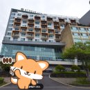 호텔빠레브사우나 이미지