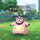 엘림 체육관 | 25년 05월 17~19일 (토~월) 내집 마련 ღ&#39;ᴗ&#39;ღ