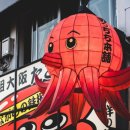 타코야끼인문어 이미지