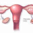 강경하한의원 이미지