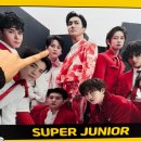 460 | 2025 메가콘서트 프리퀀시 460잔 응모하다가 정병온 후기 2탄