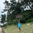 마량포 해넘이.해돋이 축제 | 서천 가볼만한곳 씨큐리움, 마량포구 해돋이 둘레길, 동백나무숲 +주차 정보