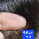 근화모피(다크브라운)253000원 이미지