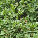 사철회관 이미지