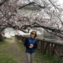 패기엔코를 입고 다녀온 오사카 벚꽃여행 이미지