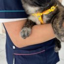 남문동물병원 이미지