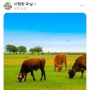 추억의사랑방