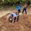 순천시립 공원묘지 이미지