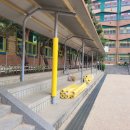 늘푸른초등학교 이미지