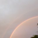 대운통신 | [전주사주] 전북대 마이다스 사주타로 카페