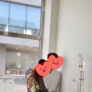 여행객 | 전주여행 가볼만한곳 추천/ 여행객 후기 좋은 스프리글 체험공방