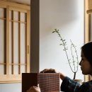 시호일 이미지