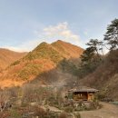 산골펜션 | 강월도 영월 촌캉스 추천 산골초가펜션 하늘채