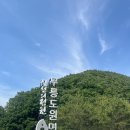 밤골야영장 | 영월 무릉도원 밤골캠핑장🏕️다녀온후기 . 영월계곡 법흥계곡 불멍 밤나무