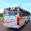 콜택시 말고 콜버스? 제주 뚜벅이 여행 꿀팁 옵서버스 호출 방법 이용 후기 총정리