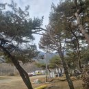 황금박쥐캠핑장 | [가평/춘천캠핑장]홍천강 바로 앞 "황금박쥐캠핑장"에서 보낸 올해 마지막 캠핑 후기 (11월22~23)