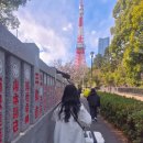 프린스호텔 | 도쿄 프린스 호텔 내돈내산 후기｜도쿄타워 근처 위치 좋은 도쿄 숙소