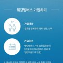 오노레(ONORE)