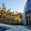 심천자연휴양림콘도 | 군산 신시도자연휴양림 휴양관 하현달 202호 후기(오션뷰 신축 휴양림은 역시 티켓팅이 어렵네)